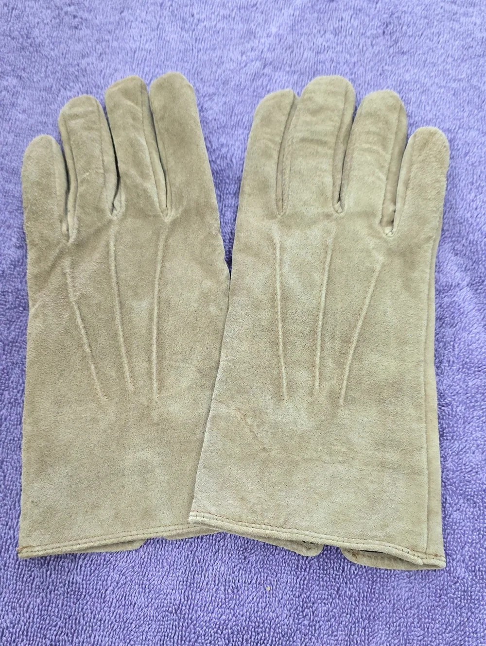Aris Women's Suede Gloves in Taupe